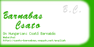 barnabas csato business card